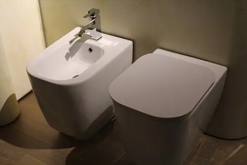 Bidet-Installation--in-Keller-Texas-bidet-installation-keller-texas.jpg-image