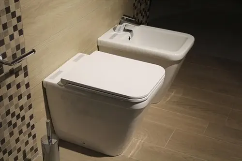 Bidet-Repair--in-Keller-Texas-bidet-repair-keller-texas.jpg-image