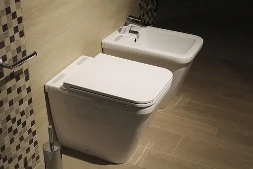Bidet-Repair--in-Little-Elm-Texas-bidet-repair-little-elm-texas.jpg-image